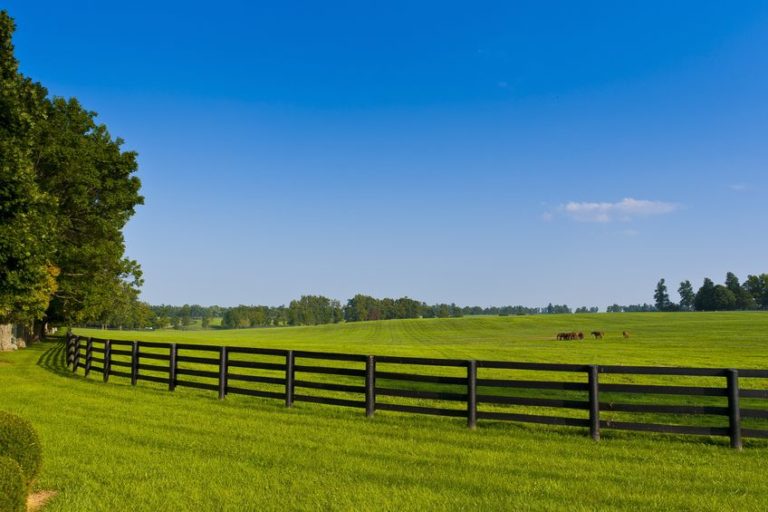 ﻿DIY Tips for Fixing A Split Rail Fence - Metro Fence